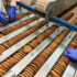 Fabrică germană de fursecuri angajează personal necalificat, salariu 1600-1800 euro, Germania
