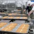 Lucrător centre de producție alimente – 2200€- Olanda
