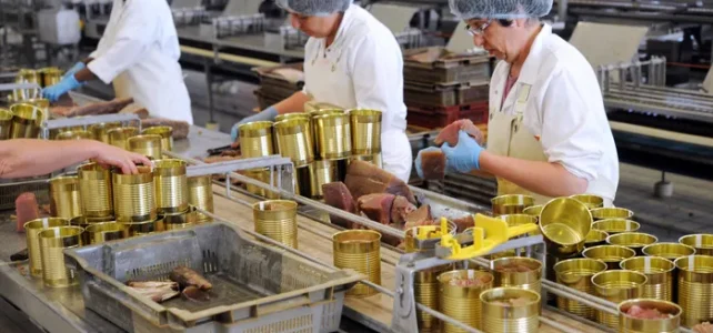 Fabrica de conserve Ciuperci din Olanda caută personal necalificat pentru un salariu de 11,31 euro/oră