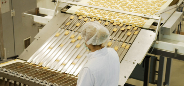 Fabrică de biscuiți din Ooltgensplaat, recrutează operatori de linie – 14.3€ / h